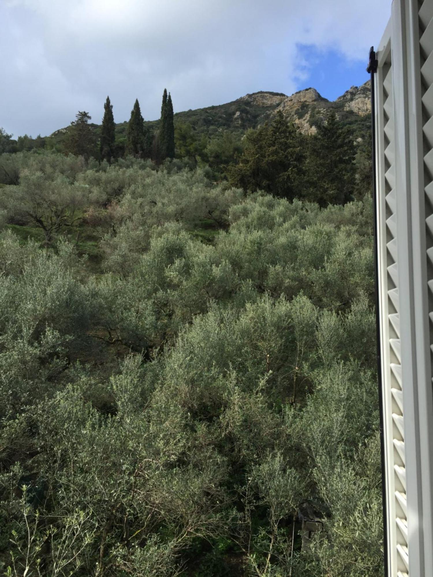 Belvedere Zakynthos Studios Vasilikí Pokój zdjęcie