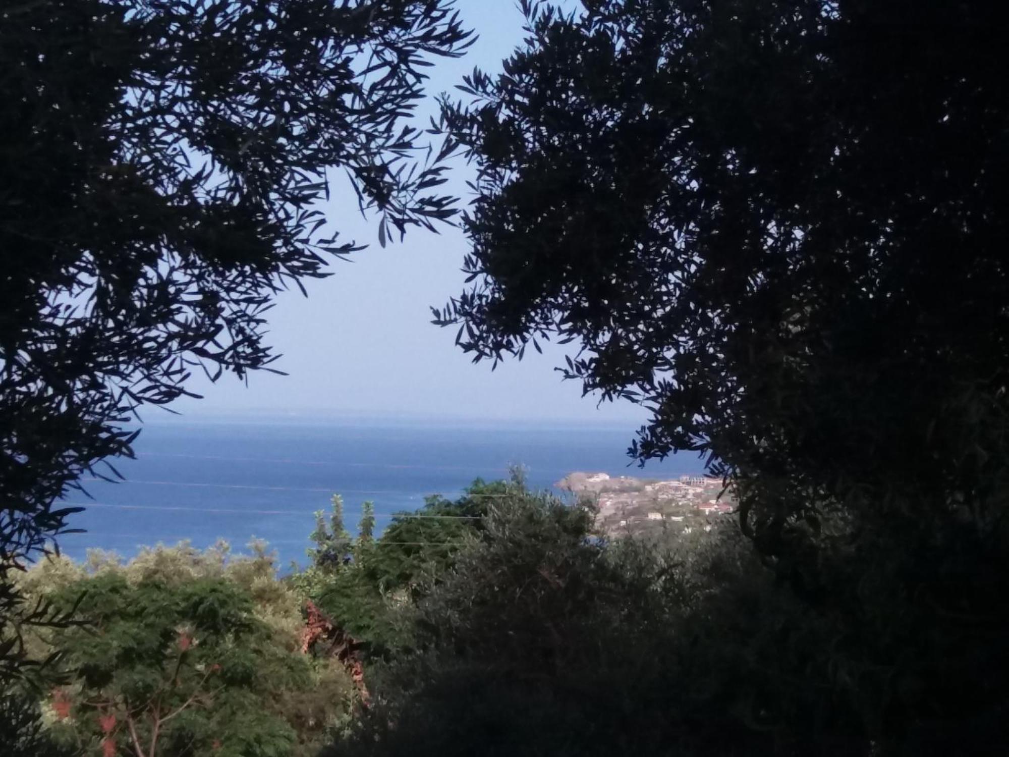 Belvedere Zakynthos Studios Vasilikí Pokój zdjęcie