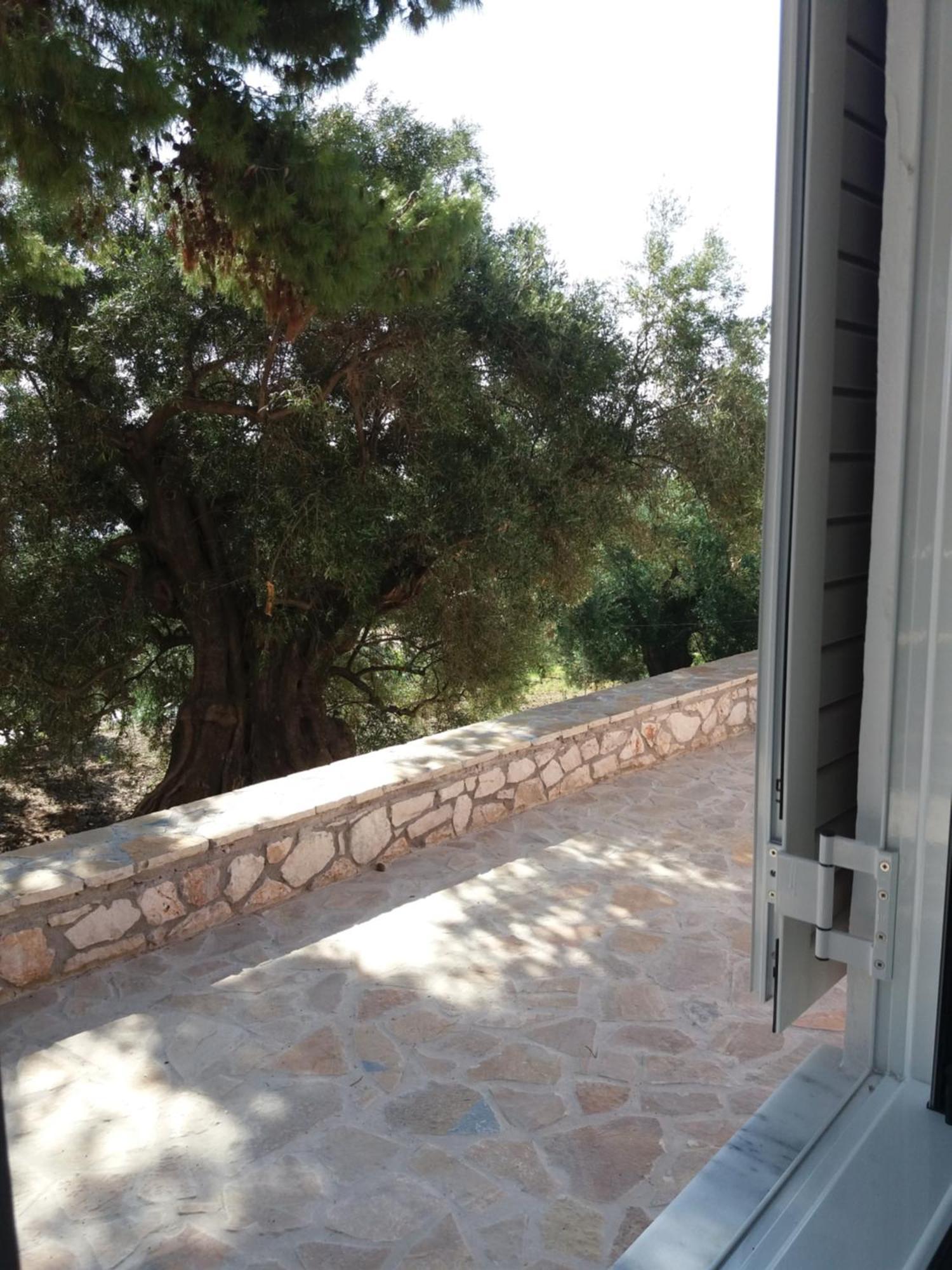 Belvedere Zakynthos Studios Vasilikí Pokój zdjęcie