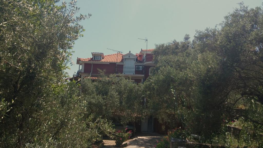 Belvedere Zakynthos Studios Vasilikí Zewnętrze zdjęcie